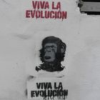 Viva La Evolucion