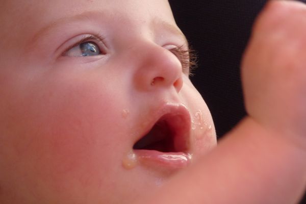 Viva la pappa................