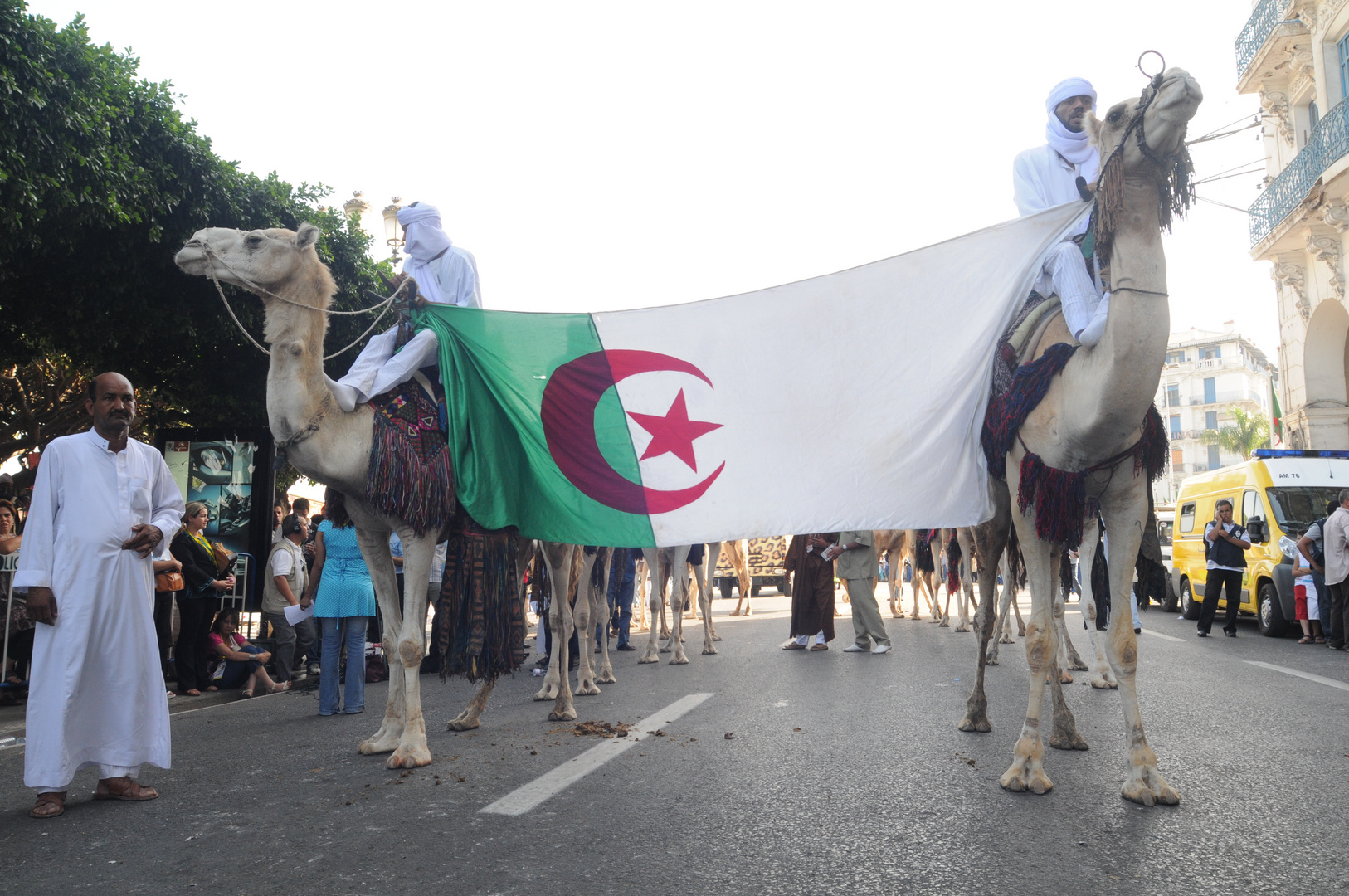 viva l'algerie