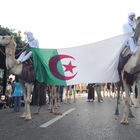 viva l'algerie