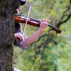 Vivaldi im Wald