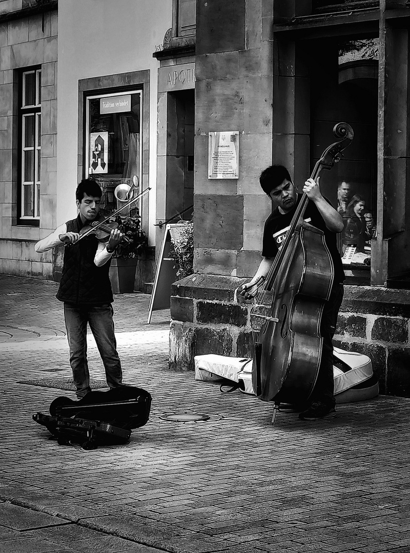 Vivaldi on street