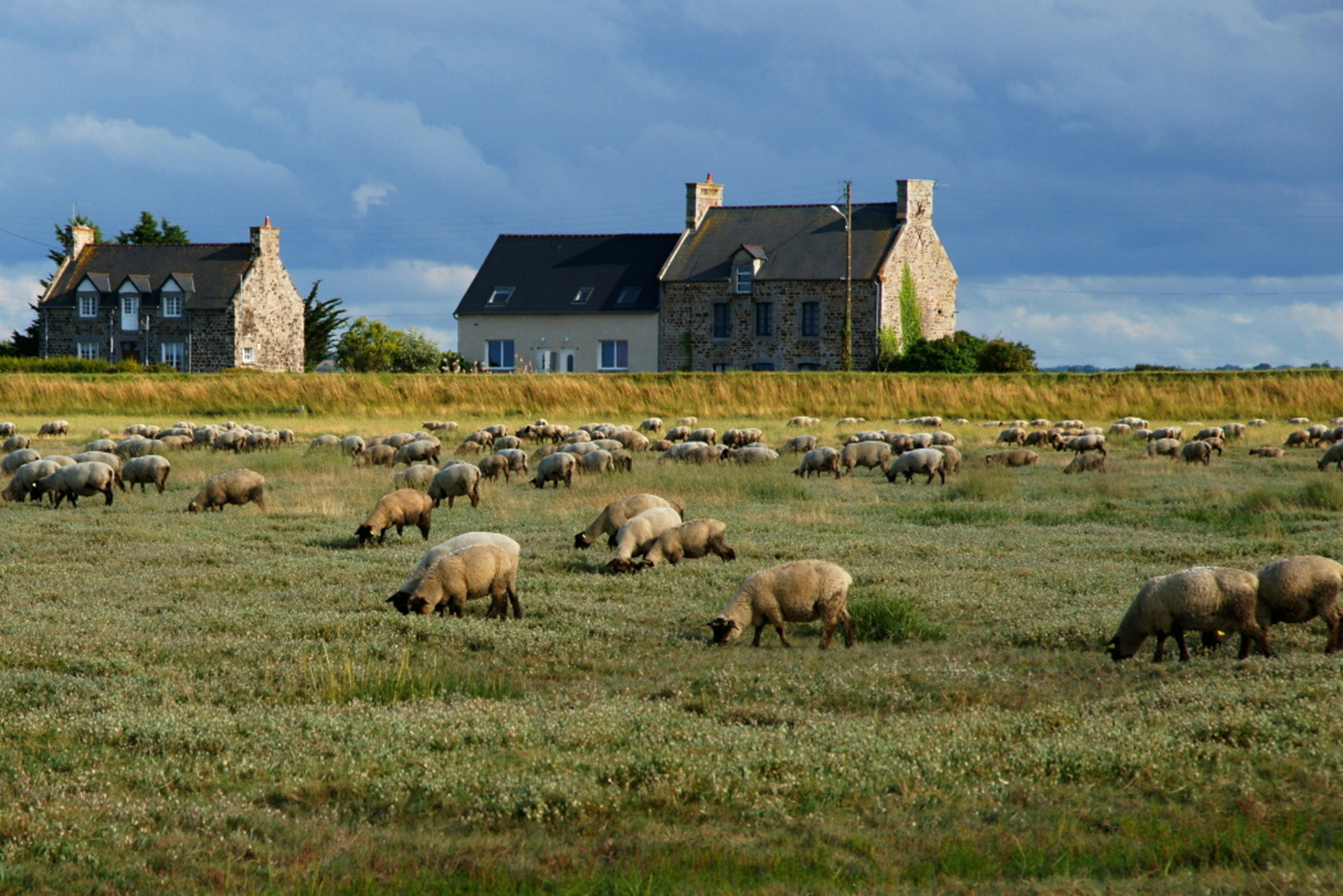 Vive la Bretagne !