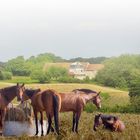 Vive la campagne