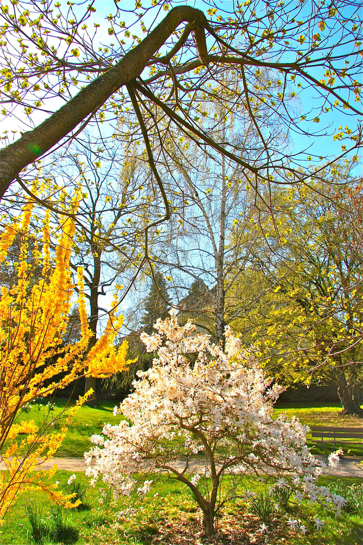 Vive le printemps !