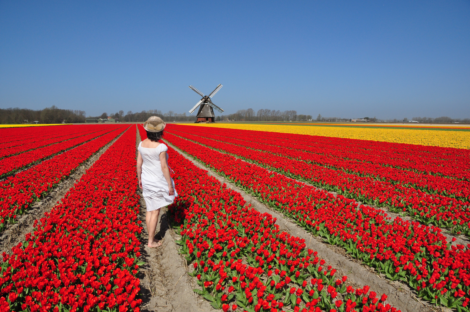 Vive les couleurs du printemps !