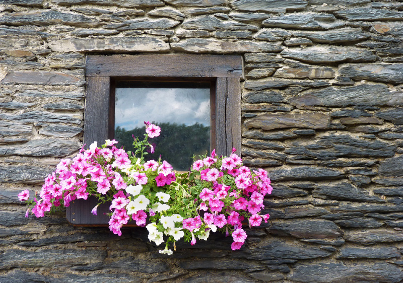 Vive les fleurs aux fenêtres.