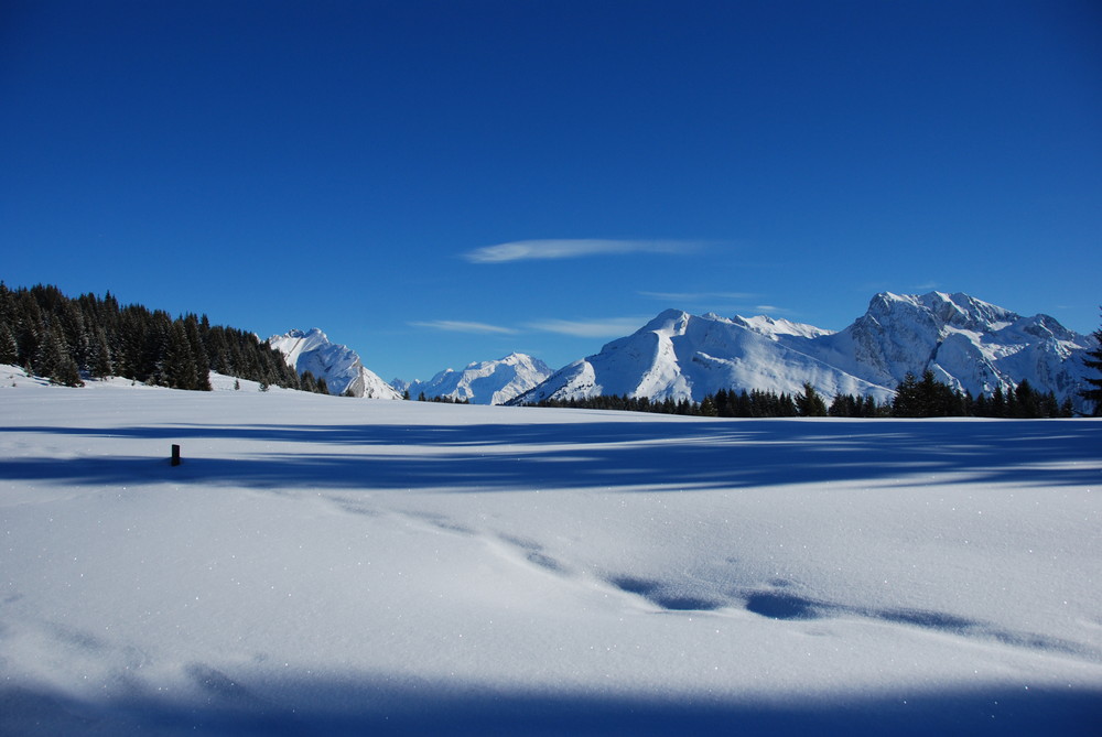 Vive les vacances à la neige !