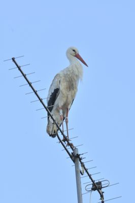 vivement la fibre optique !!!!!!!!!!!!!!!!!!!!!!!!!!