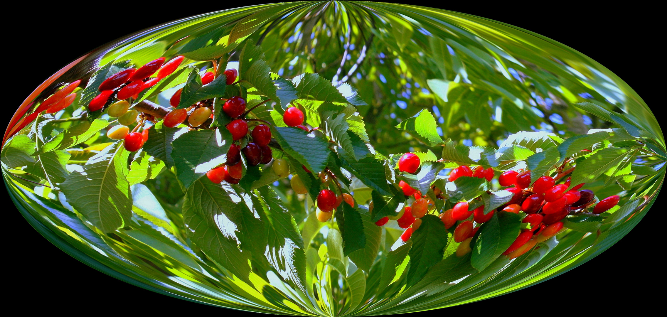 Vivement le temps des cerises! 