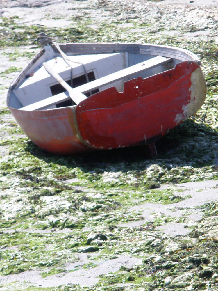 Vivement que la mer monte !