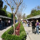 Viveros- Feria del libro