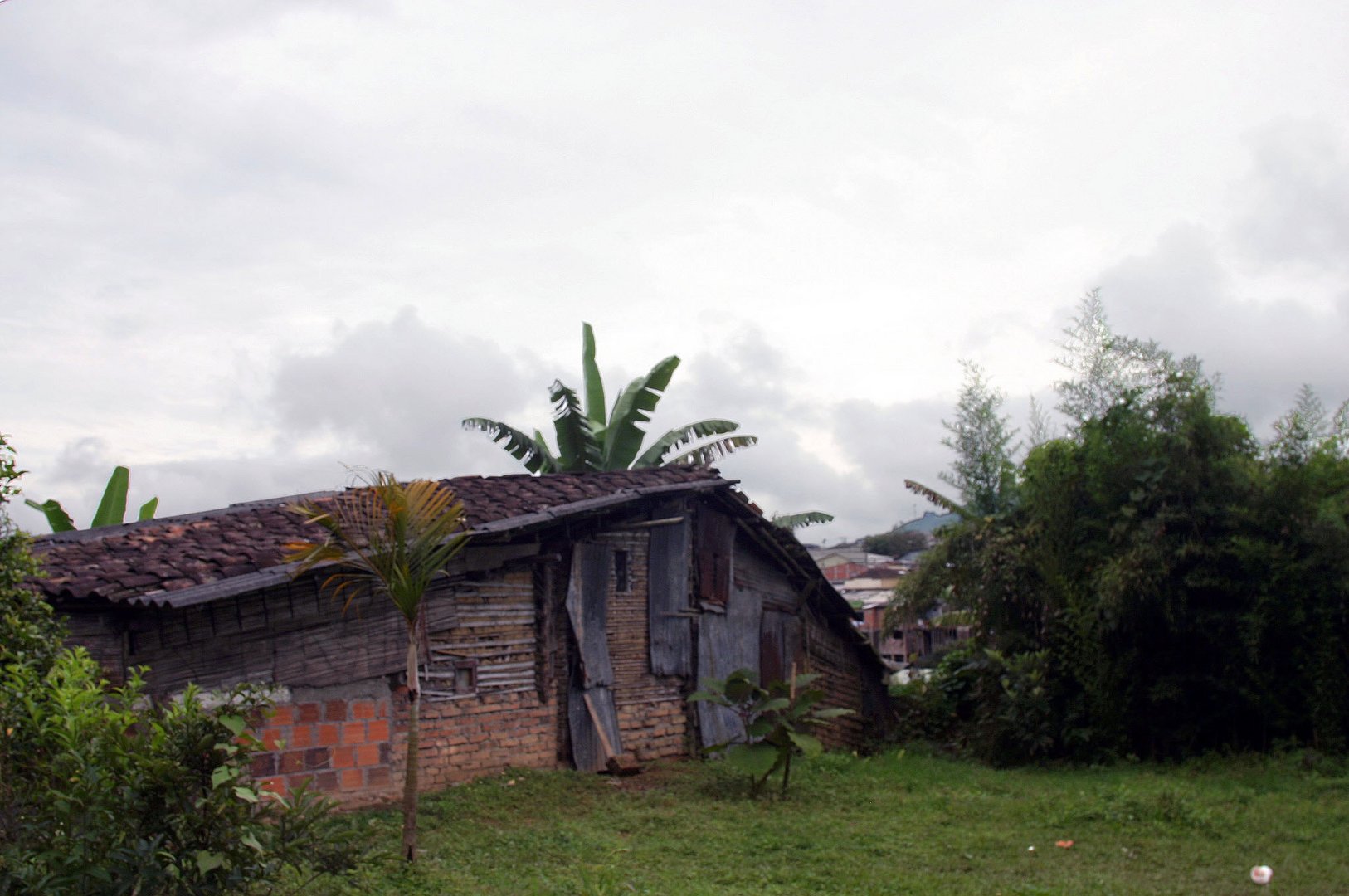 Vivienda