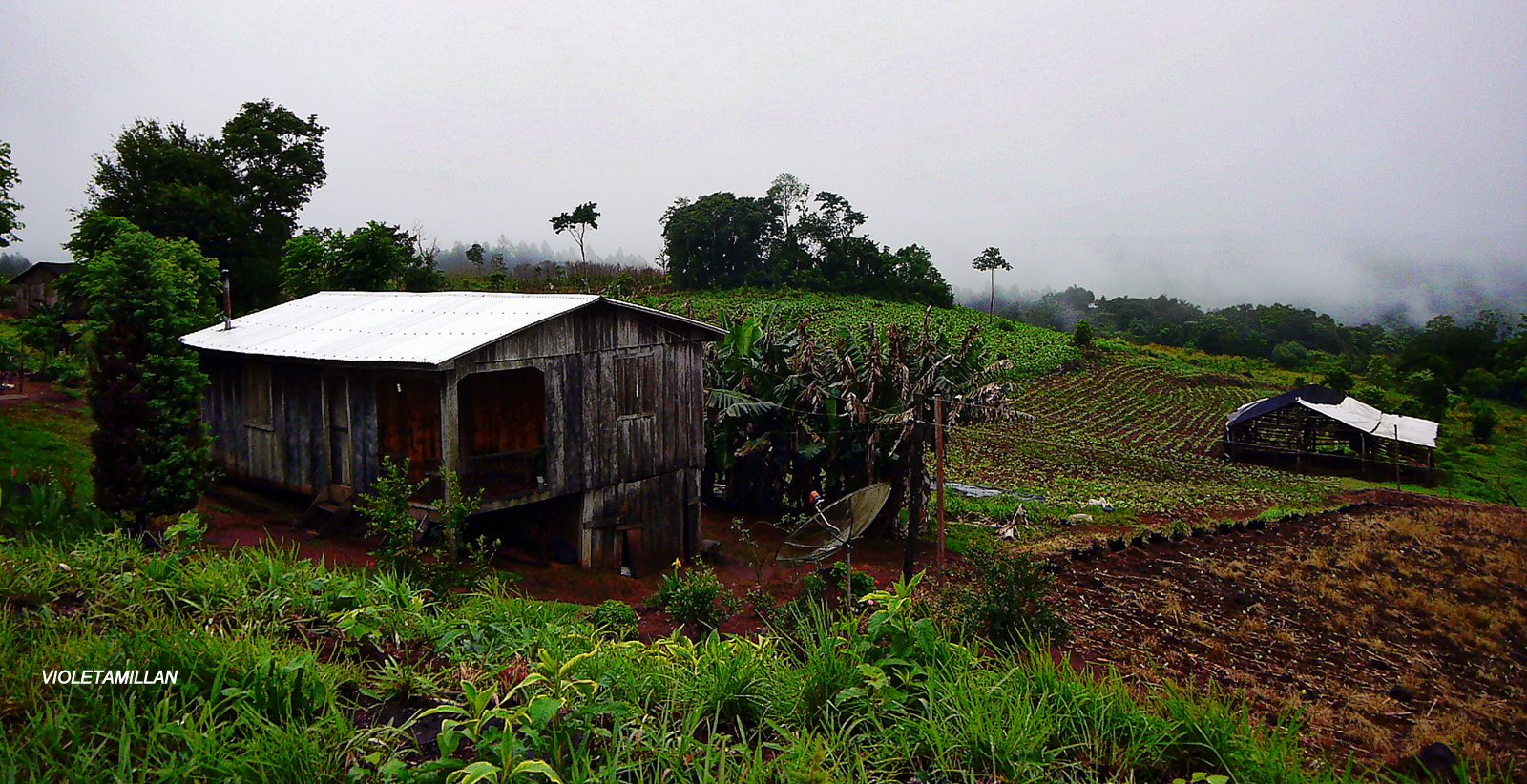 VIVIENDAS DE LOS AGRICULTORES