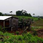 VIVIENDAS DE LOS AGRICULTORES