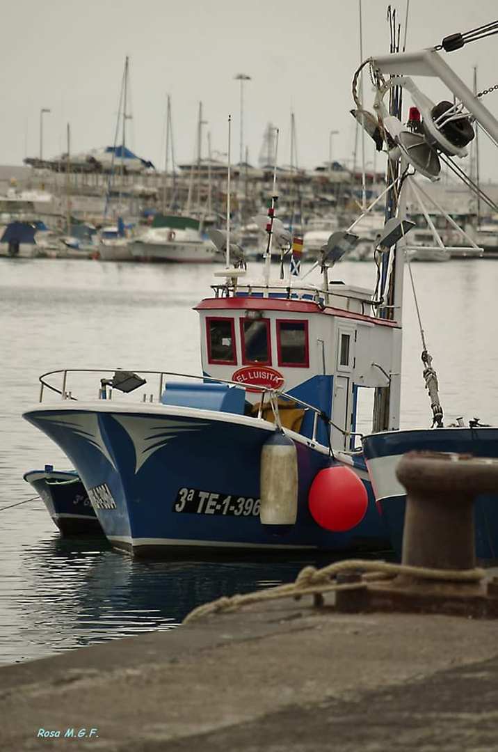 viviendo del mar