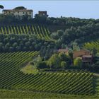 vivre au coeur  des vignes.....