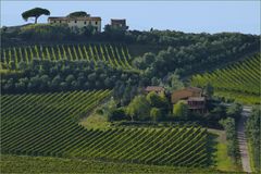 vivre au coeur  des vignes.....