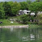 vivre libre au grè des vents et des marais ...!