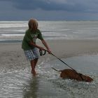 Vizsla unter Wasser