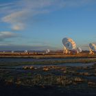 VLA , New Mexico