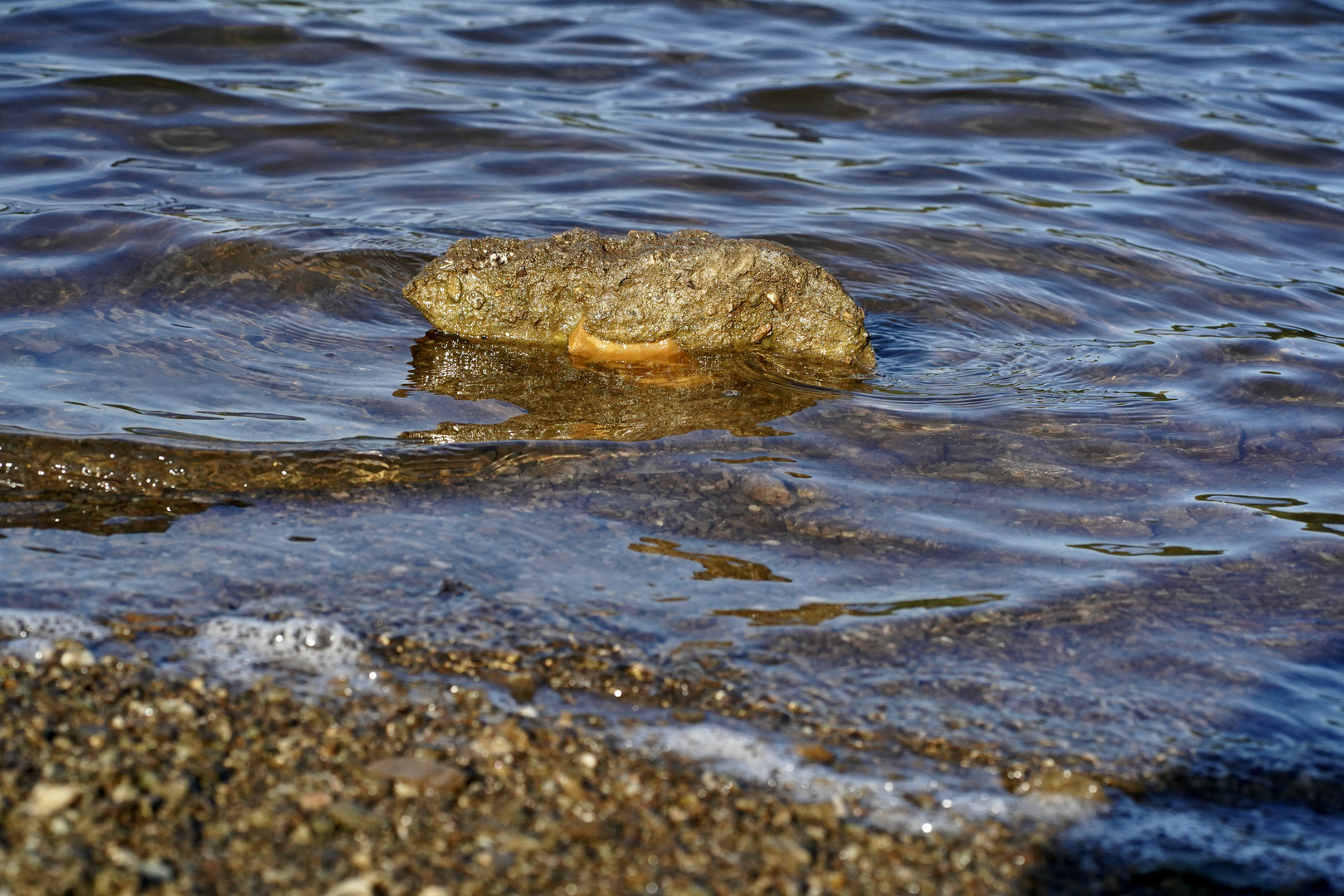 Vlasinsko Jezero / Serbien