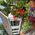 Vledder / Drenthe