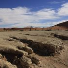 Vlei des Todes