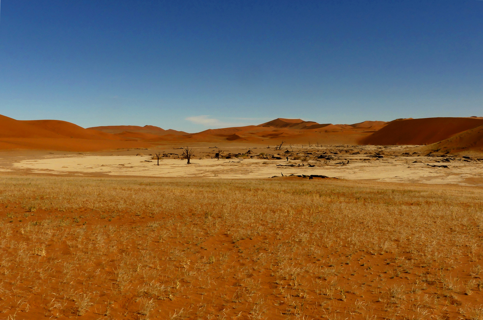 Vlei in der Namib