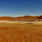 Vlei in der Namib