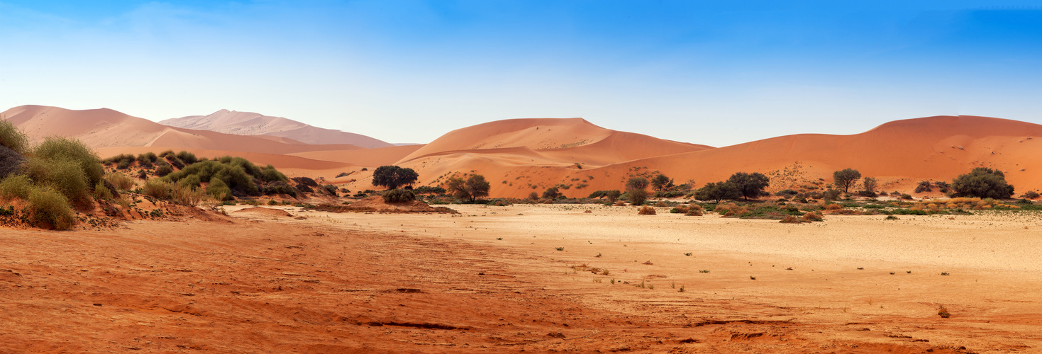Vlei in der Namib