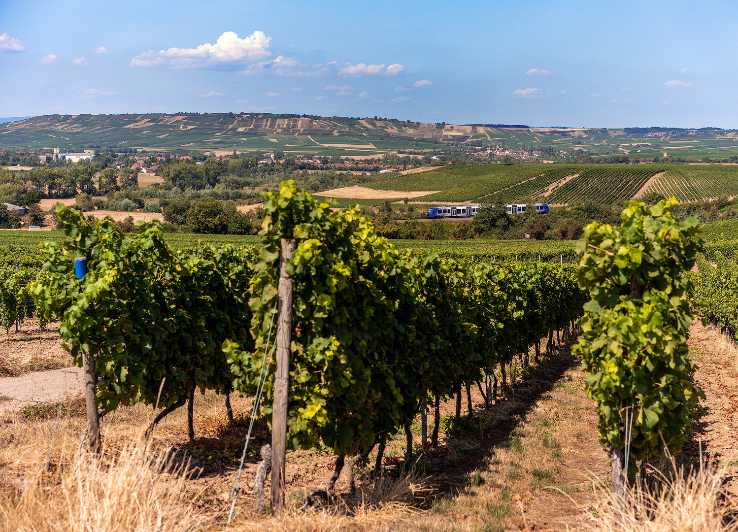 VLEXX in Rheinhessen