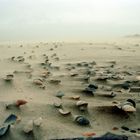 Vlieland 2002