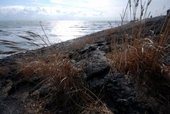 Vlissingen - Nollehoofd
