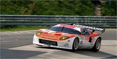 VLN - 02.05.2009 (01)