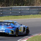 VLN #2 (3)