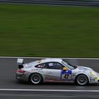 VLN 2011