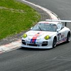 VLN 2013/