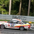 VLN 2013 5