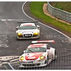 VLN 3