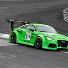 VLN #317 - Audi TTS 2R  - Colorkey II