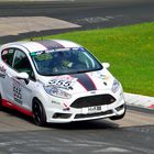 VLN # 555 - Ford Fiesta ST MSC Münster e.V. DMV