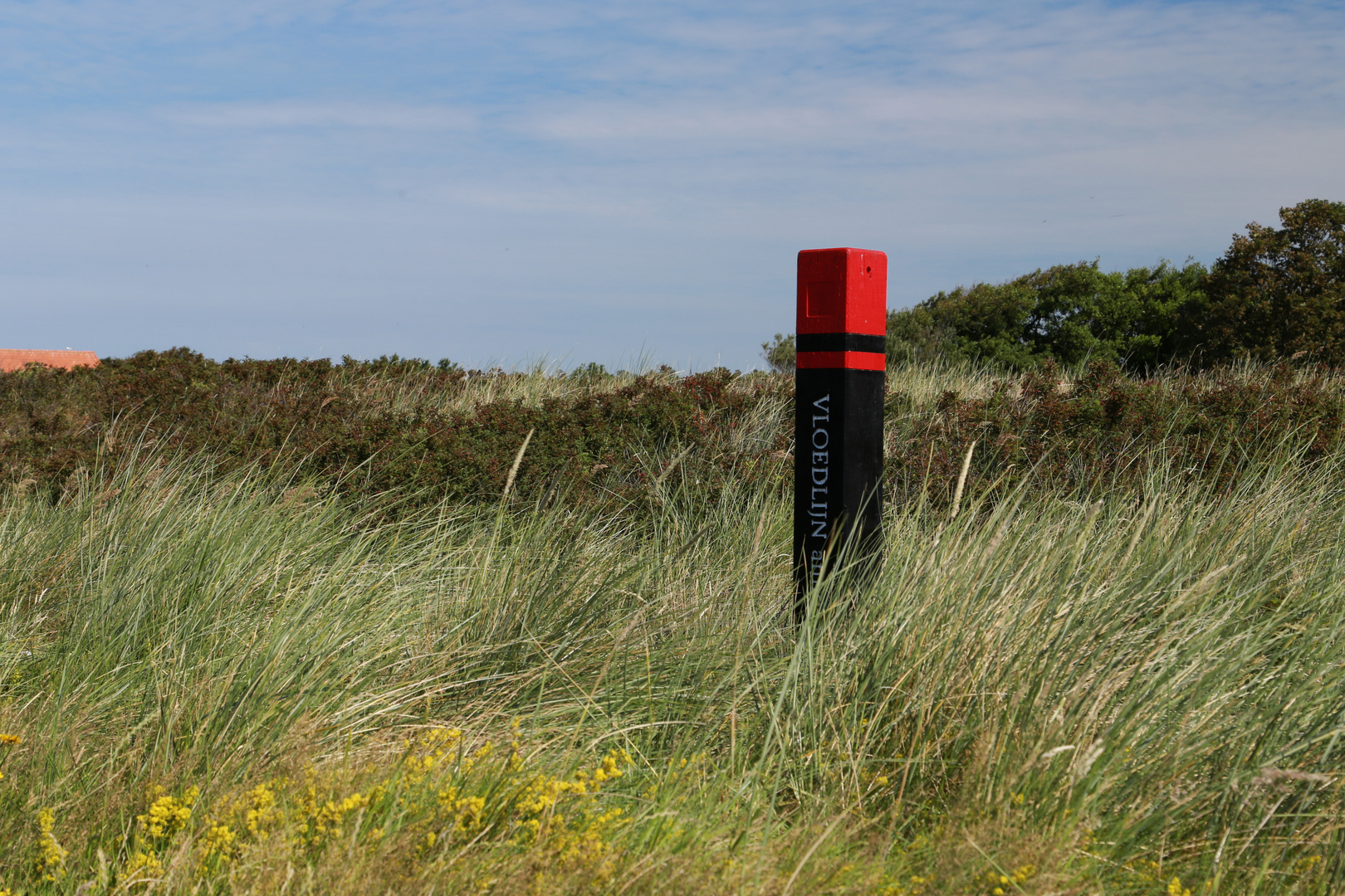 vlodelijne Texel