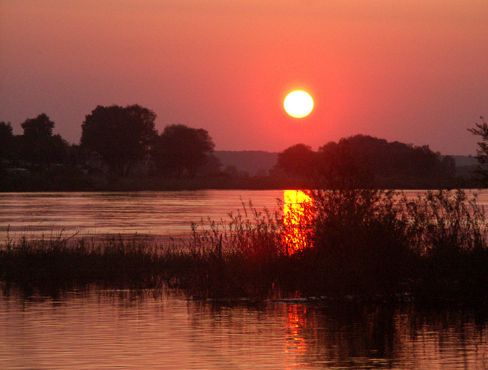 Vockfey an der Elbe