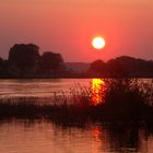 Vockfey an der Elbe