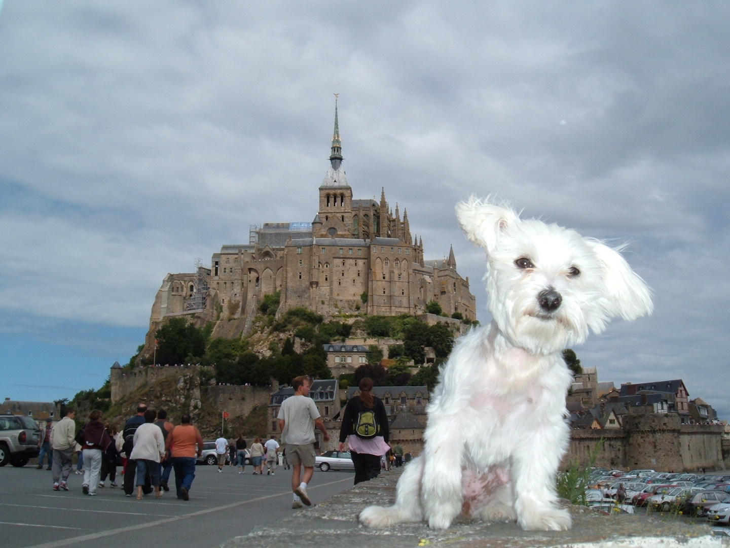 Vodka au Mont St Michel