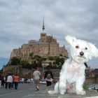 Vodka au Mont St Michel