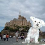 Vodka au Mont St Michel