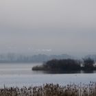 Vögel am Barniner See