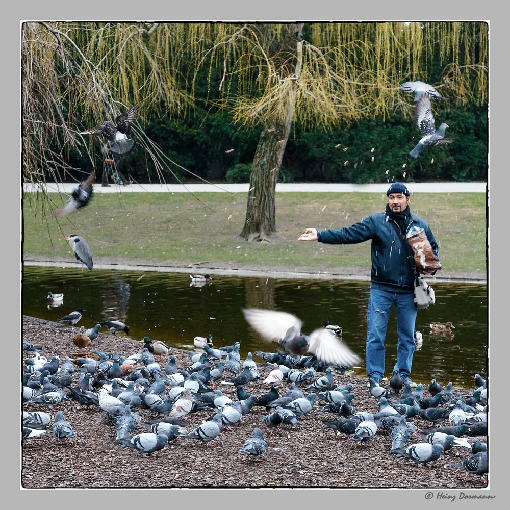 Vögel Füttern im Stadtpark Foto & Bild | natur, menschen, tiere Bilder ...